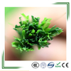 Chinese factory price multicolor landscaping artificial grass yarn